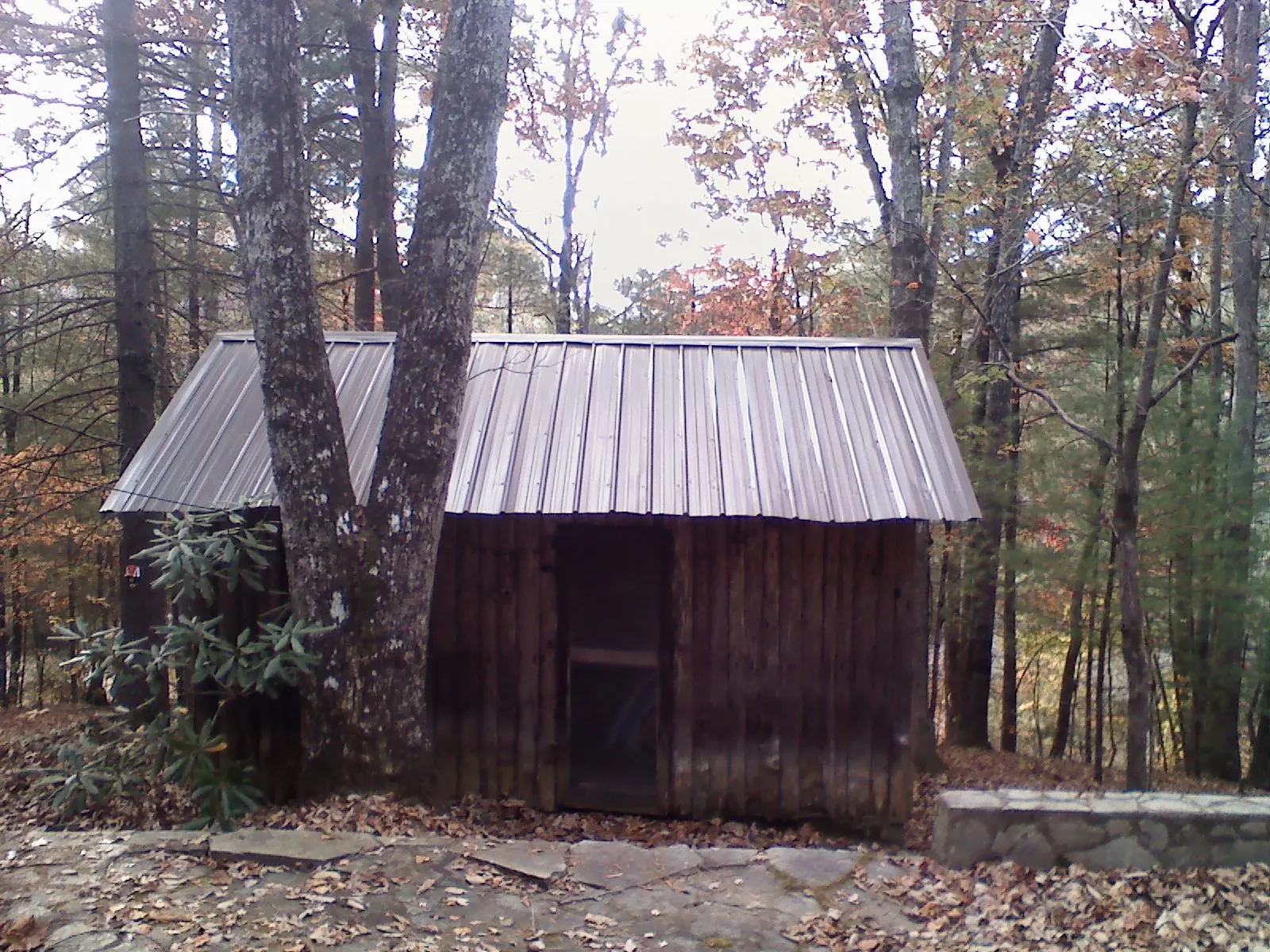 New metal gable roof on a small log shed among the trees in Elizabethport